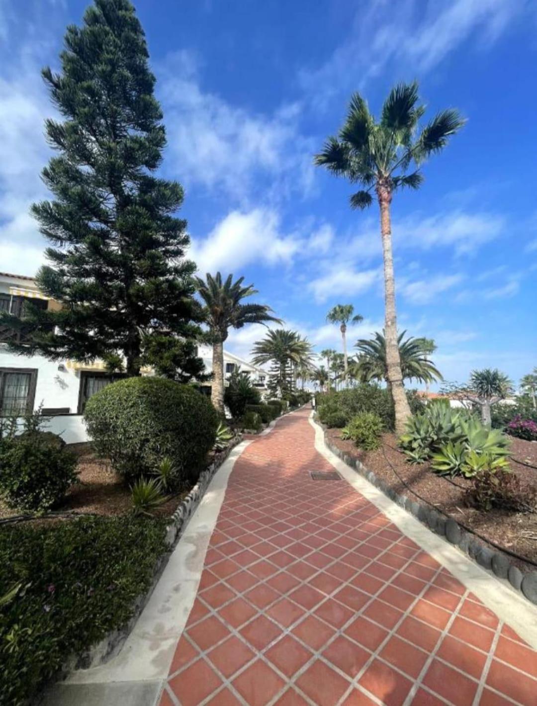 Apartment In Amarilla Golf 2 Bedrooms San Miguel de Abona Eksteriør bilde